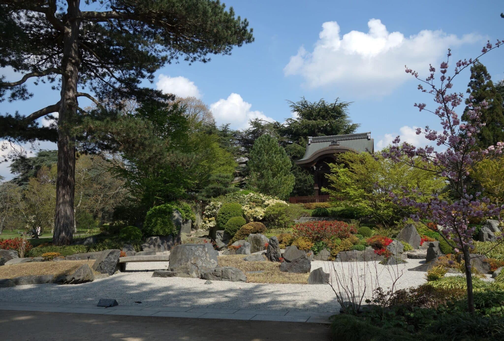 An overview of Kew gardens Japanese landscape.