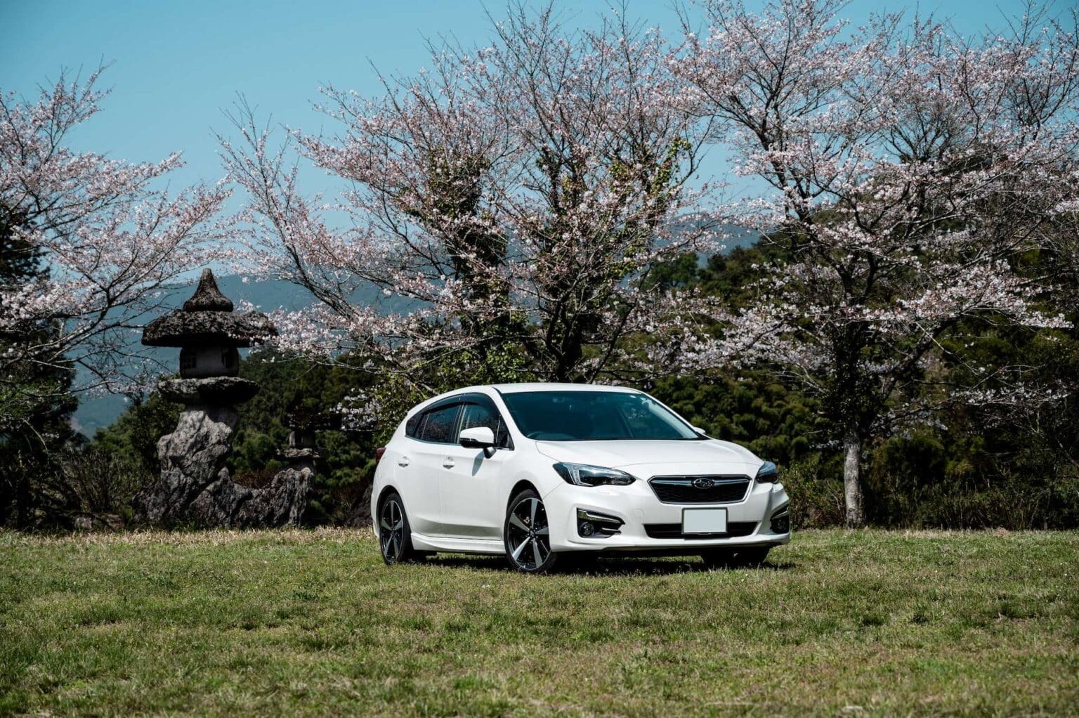A white car amongst pink trees