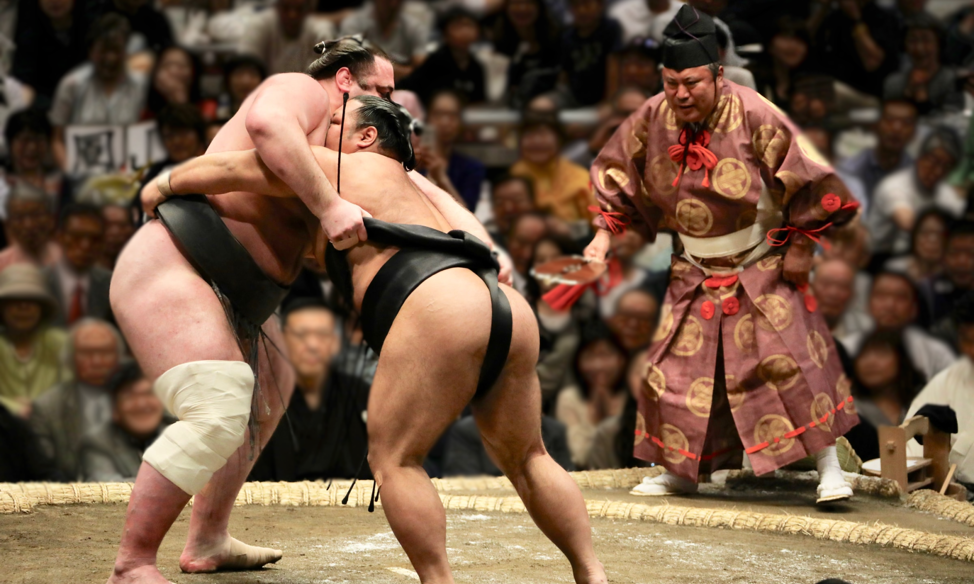 Sumo bout A sumo bout in progress.